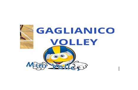 Corsi di pallavolo - Gaglianico Volley School